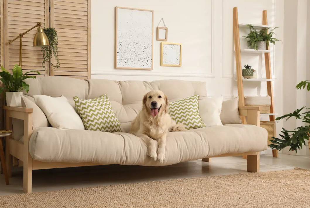 Is Your Home Pet Friendly Enough